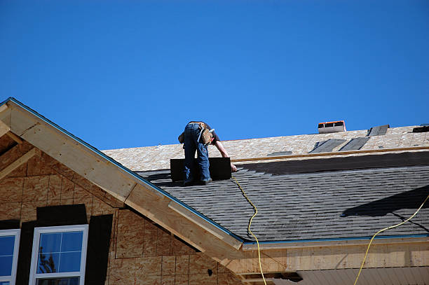 Best Roof Leak Repair  in North Branch, MN